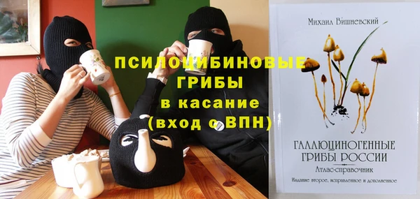 молекула духа Алзамай