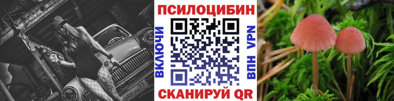 как найти закладки Гаджиево Псилоцибиновые грибы MAGIC MUSHROOMS