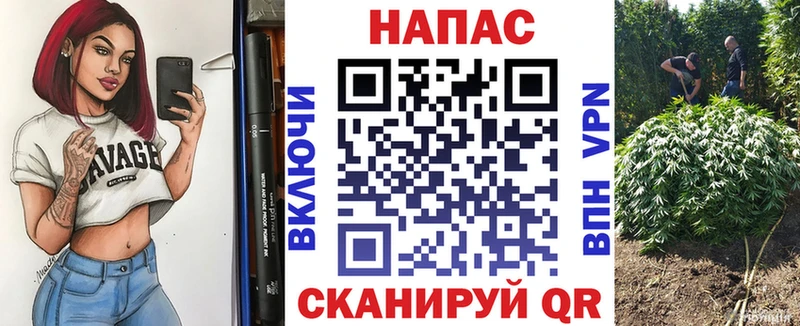 что такое наркотик  Гаджиево  Канабис ГИДРОПОН 